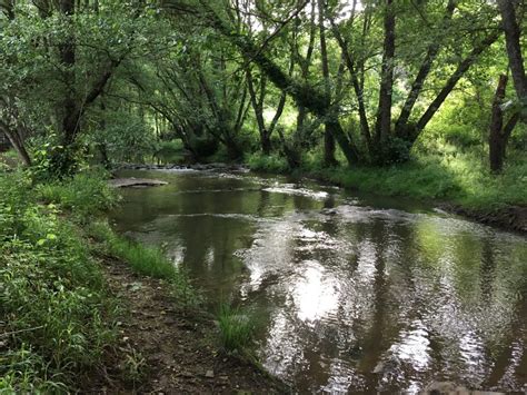 sendero molino del corcho|Sendero Molino del Corcho, Seville, Spain